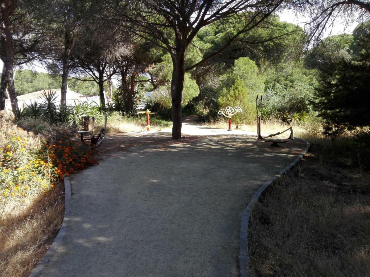 Apartamento En Los Patios De Santa Maria Golf Marbella Eksteriør bilde
